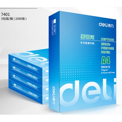 得力(deli)7401 萊茵河70克A4復(fù)印紙 5包/箱 500張/包 整箱2500張（整箱銷售）